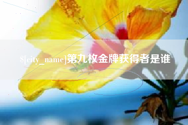 六安第九枚金牌获得者是谁
