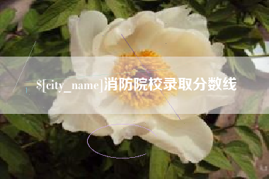 六安消防院校录取分数线