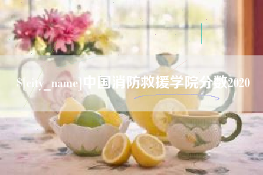 六安中国消防救援学院分数2020