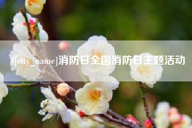 六安消防日全国消防日主题活动