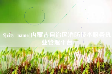 六安内蒙古自治区消防技术服务执业管理平台