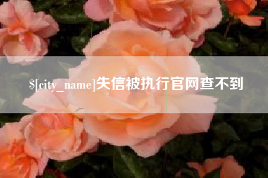 六安失信被执行官网查不到