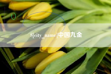 六安中国九金