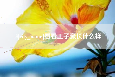 六安看看王子豪长什么样