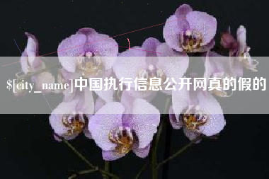 六安中国执行信息公开网真的假的