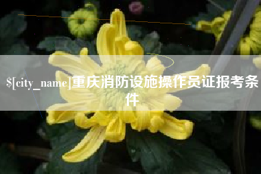 六安重庆消防设施操作员证报考条件