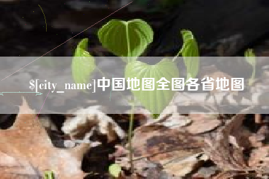 六安中国地图全图各省地图