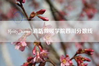 六安消防救援学院四川分数线
