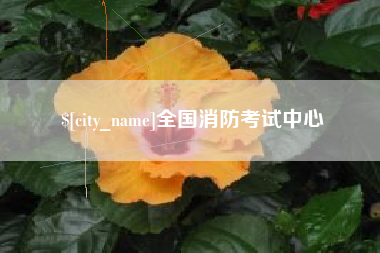六安全国消防考试中心