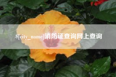 六安消防证查询网上查询