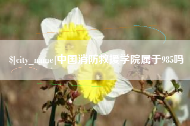 六安中国消防救援学院属于985吗