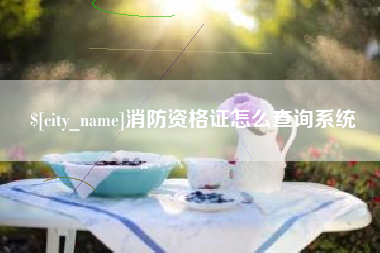 六安消防资格证怎么查询系统