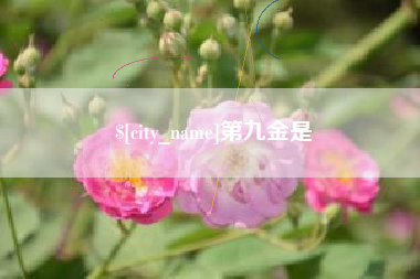六安第九金是