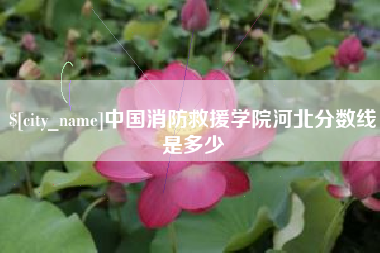 六安中国消防救援学院河北分数线是多少