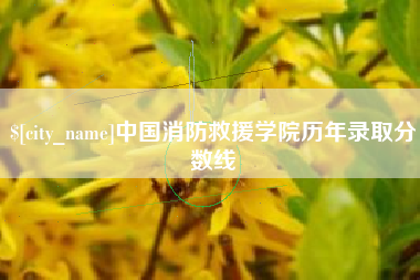 六安中国消防救援学院历年录取分数线