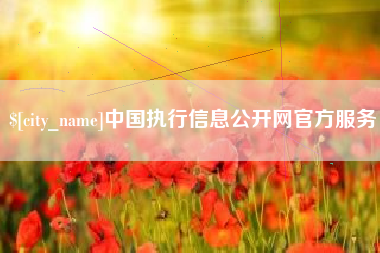 六安中国执行信息公开网官方服务