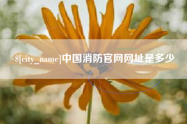 六安中国消防官网网址是多少