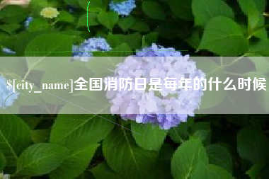 六安全国消防日是每年的什么时候