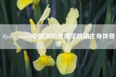 六安中国消防救援学院招生身体要求