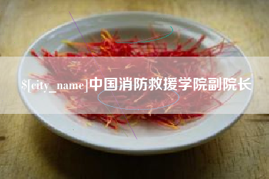 六安中国消防救援学院副院长