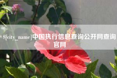 六安中国执行信息查询公开网查询官网