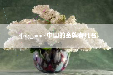 六安中国的金牌有几名