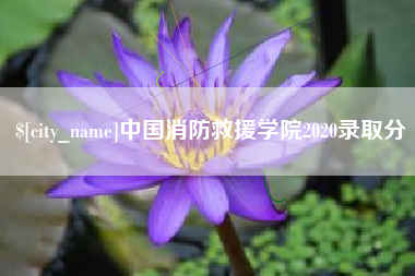 六安中国消防救援学院2020录取分