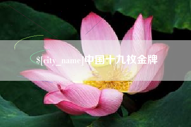 六安中国十九枚金牌