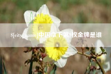 六安中国拿下第9枚金牌是谁