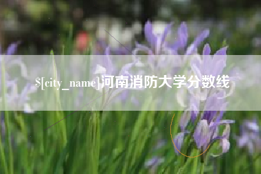 六安河南消防大学分数线