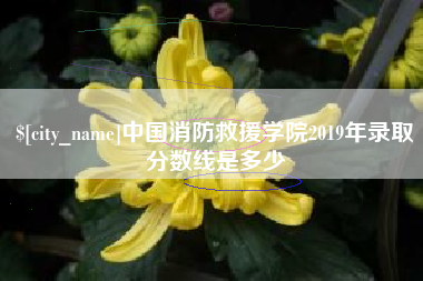 六安中国消防救援学院2019年录取分数线是多少