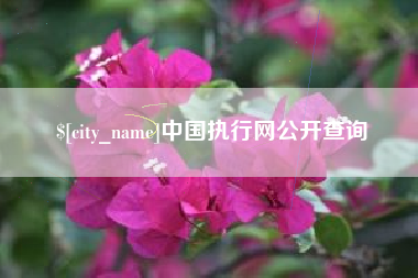 六安中国执行网公开查询