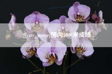 六安国内5000米成绩