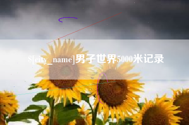 六安男子世界5000米记录