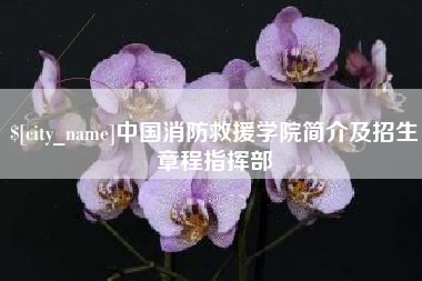 六安中国消防救援学院简介及招生章程指挥部
