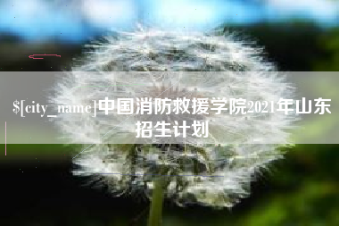 六安中国消防救援学院2021年山东招生计划