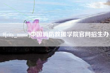 六安中国消防救援学院官网招生办