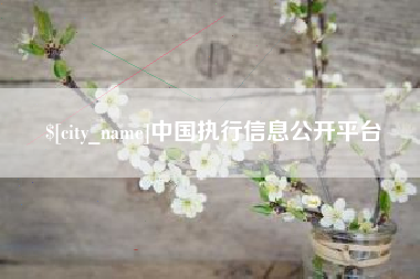 六安中国执行信息公开平台