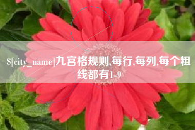 六安九宫格规则,每行,每列,每个粗线都有1-9