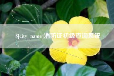 六安消防证初级查询系统