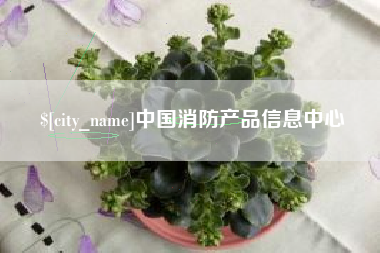 六安中国消防产品信息中心