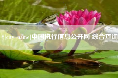 六安中国执行信息公开网 综合查询