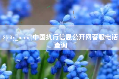 六安中国执行信息公开网客服电话查询