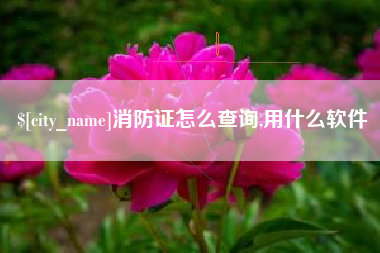 六安消防证怎么查询,用什么软件