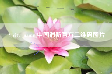 六安中国消防官方二维码图片