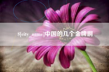 六安中国的几个金牌啊
