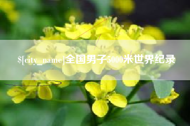 六安全国男子5000米世界纪录