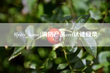 六安消防产品cccf认证目录