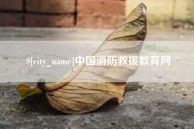 六安中国消防救援教育网