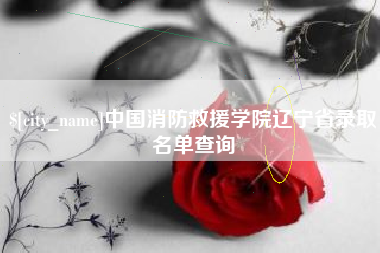 六安中国消防救援学院辽宁省录取名单查询